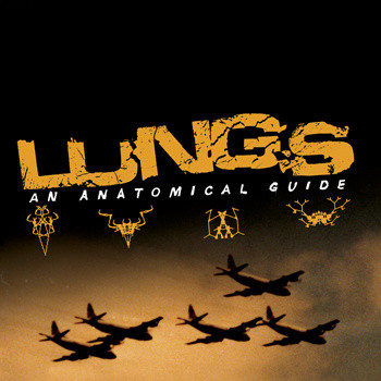 LUNGS <br> AN ANATOMICAL GUIDE